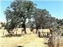 34821 South St, Raymond, CA 93653