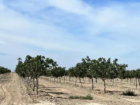 25999 W Whitesbridge Ave, Kerman, CA 93630