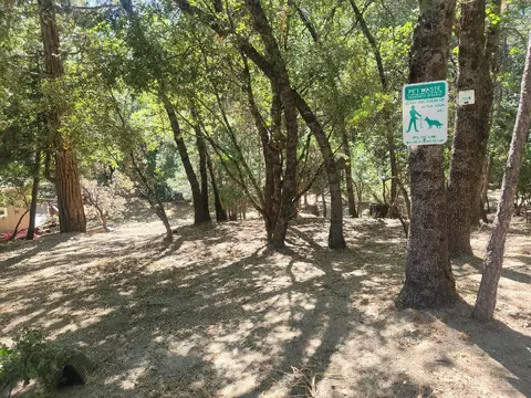 54682 Blue Gill, Bass Lake, CA 93604