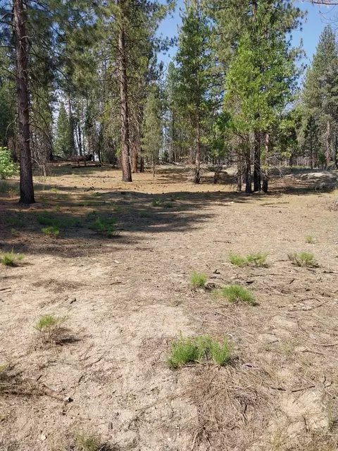 9 Tamarack Trl, North Fork, CA 93643