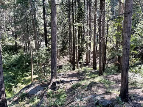 7671 Forest Dr, Fish Camp, CA 93623