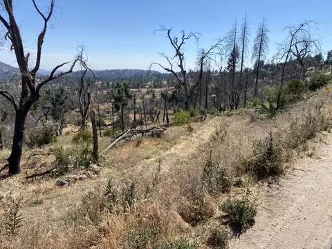 35155 Peterson Rd, Auberry, CA 93602