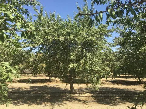 1 Avenue 352, Kingsburg, CA 93631