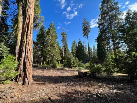 41868 Timber Ridge Ln, Shaver Lake, CA 93664