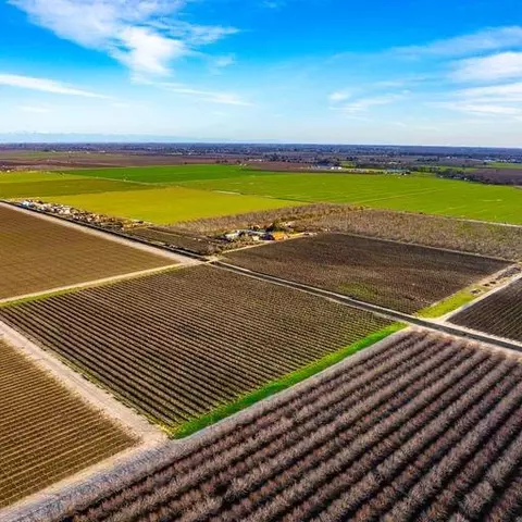 4166 E Blanchard Ave, Laton, CA 93242