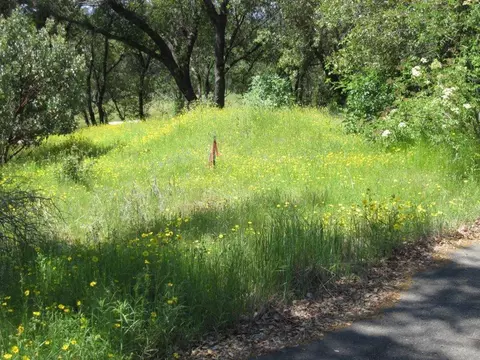 0 Enchanted Oaks Dr, Coarsegold, CA 93614