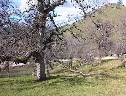 21 Hilltop Ln, Wonder Valley, CA 93657