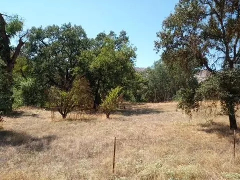 37435 Squaw Valley Rd, Squaw Valley, CA 93675
