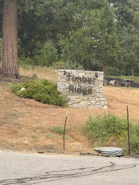 21 Timber Ridge Rd, Shaver Lake, CA 93664