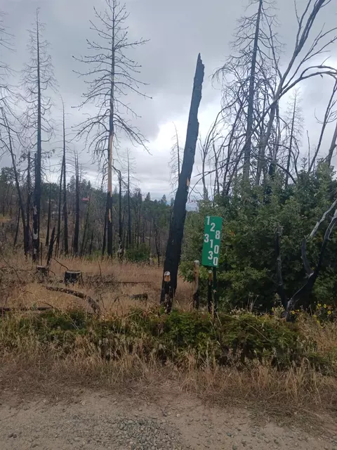 29 Auberry Rd, Auberry, CA 93602
