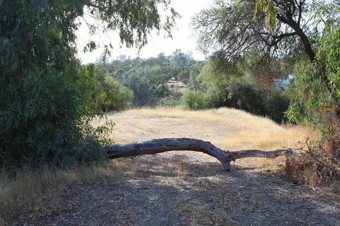 45945 Hawk Ln, Coarsegold, CA 93614
