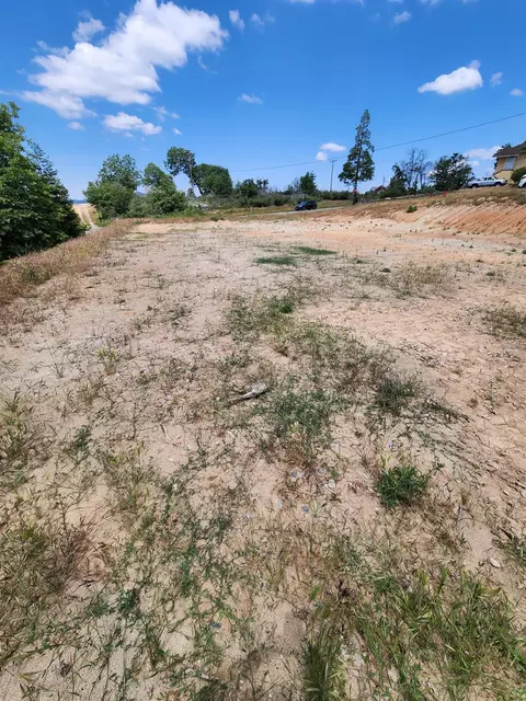 52830 Pine Dr, Oakhurst, CA 93644 photo 3