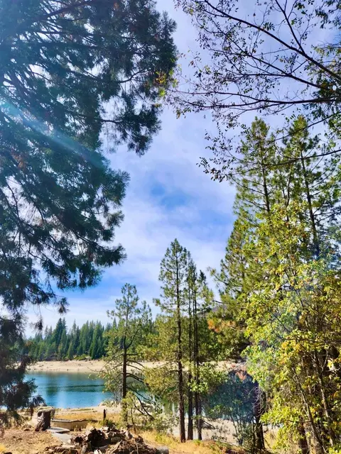 44367 Lakeview Dr, Shaver Lake, CA 93664