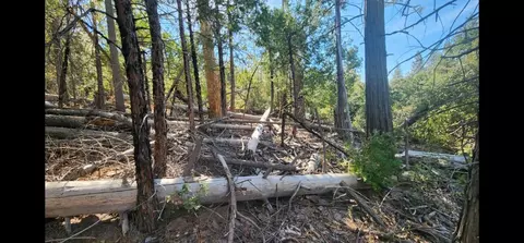 1 Hidden Mdw N, Oakhurst, CA 93644