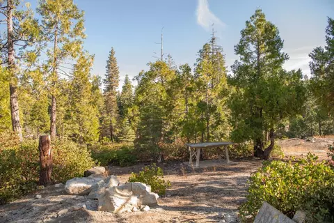 13 Fawn Lilly Ln, Shaver Lake, CA 93664