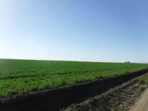 0 Highway 33, Firebaugh, CA 93622