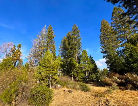 39593 Sunset Rock Ln #46, Shaver Lake, CA 93664