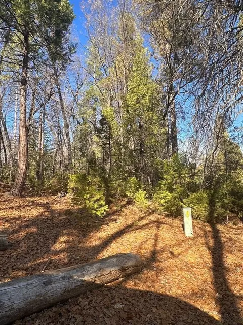 7121 Hites Cove Rd, Mariposa, CA 95338