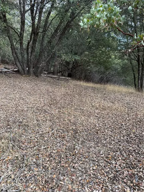 2334 Parmabelle Rd, Mariposa, CA 95338