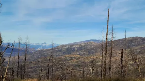 130191 Auberry Rd, Auberry, CA 93602