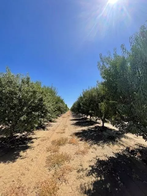 1 S Jensen Ave, Kerman, CA 93630