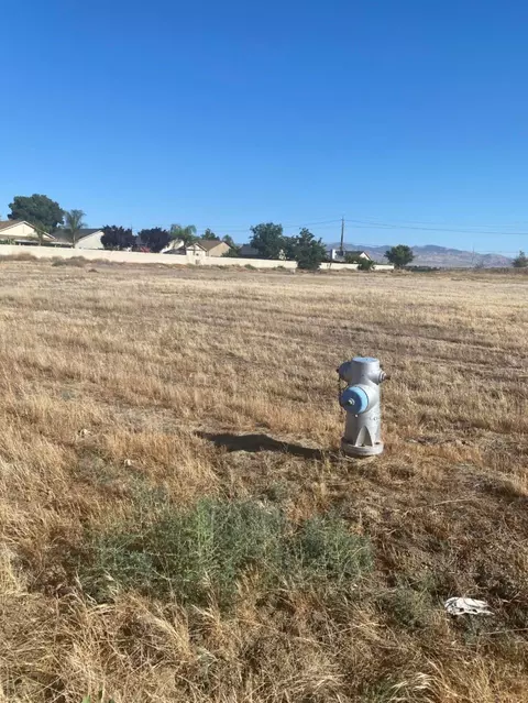 4 Willow Spgs, Coalinga, CA 93210 photo 2