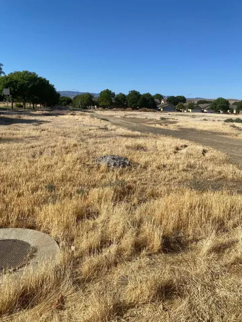 4 Willow Spgs, Coalinga, CA 93210 photo 7