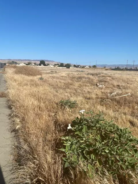 4 Willow Spgs, Coalinga, CA 93210 photo 5