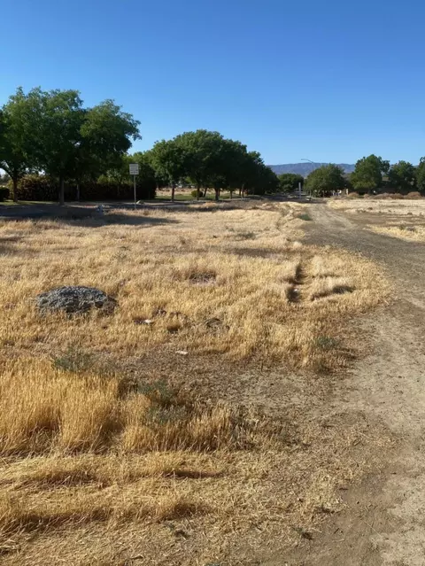 4 Willow Spgs, Coalinga, CA 93210 photo 11