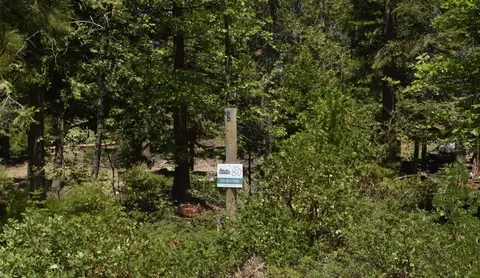 42137 Tourmaline Ln #LOT 80, Shaver Lake, CA 93664