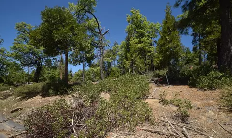 42251 Tourmaline Ln #LOT 82, Shaver Lake, CA 93664