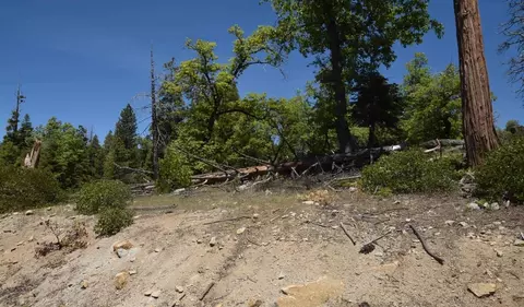 42203 Tournaline Ln #LOT 81, Shaver Lake, CA 93664