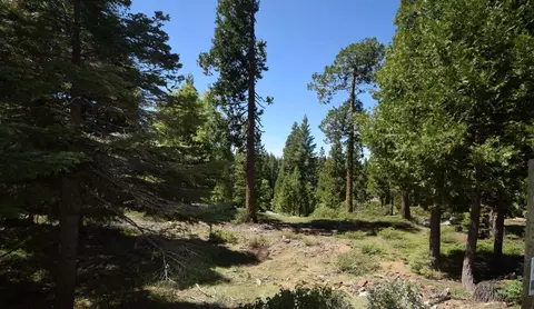 42258 Opal Ln #LOT 73, Shaver Lake, CA 93664