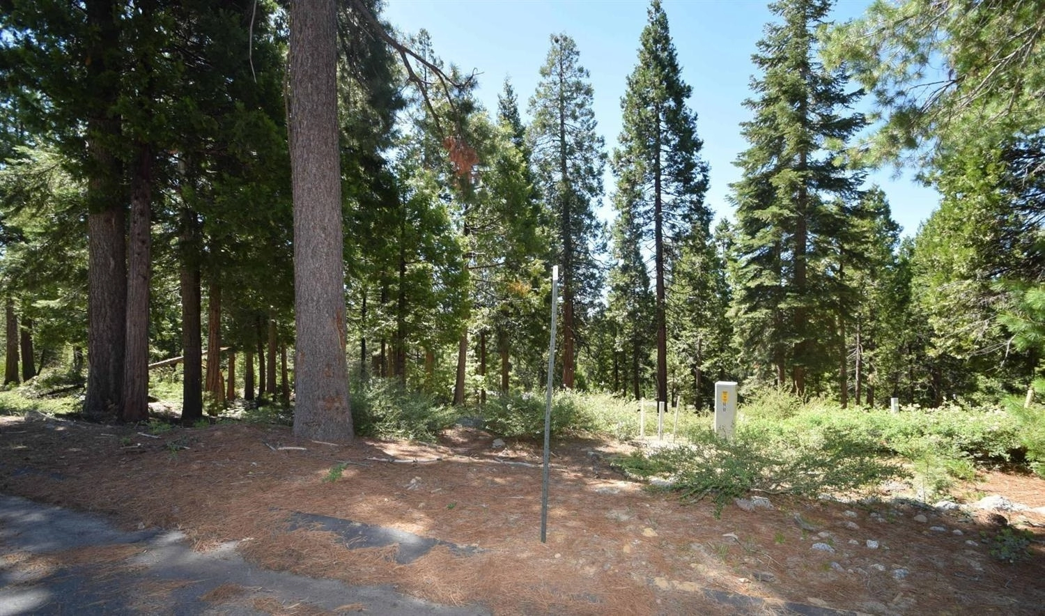 42036 Tourmaline Ln Unit 103