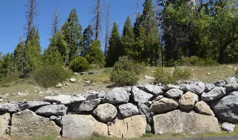 42387 Opal Ln #LOT 61, Shaver Lake, CA 93664