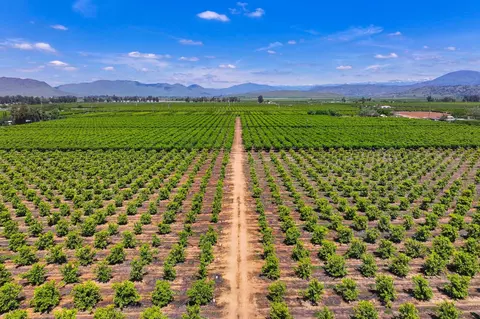 23496 E Lincoln Ave, Reedley, CA 93654