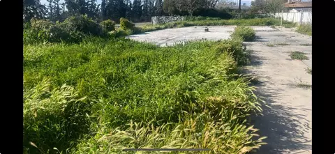 903 E Garrett Ave, Fresno, CA 93706