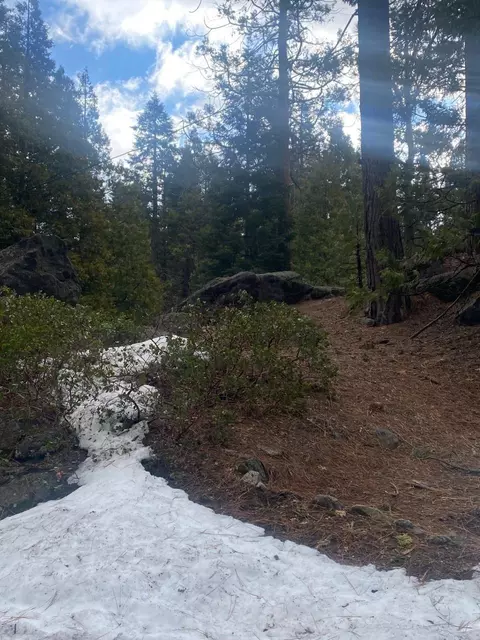41277 Musick Dr, Shaver Lake, CA 93664