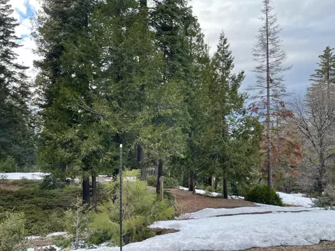 42243 Rhinestone Ln, Shaver Lake, CA 93664