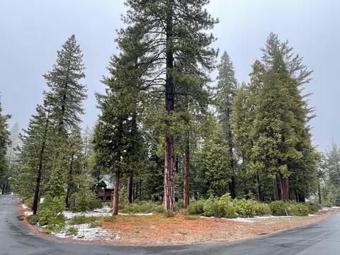 42372 Forest Run Ln, Shaver Lake, CA 93664