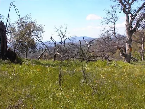 615 Wildmint Ln, Squaw Valley, CA 93675