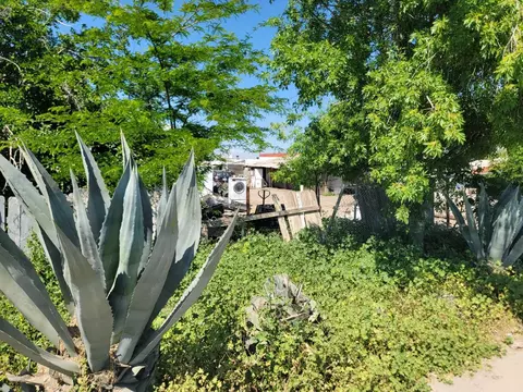 7860 W Mount Whitney Ave, Riverdale, CA 93656