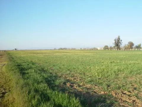1 Ave 22 12, Chowchilla, CA 93610