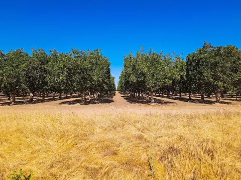 80 Avenue 21 12, Madera, CA 93638 photo 5