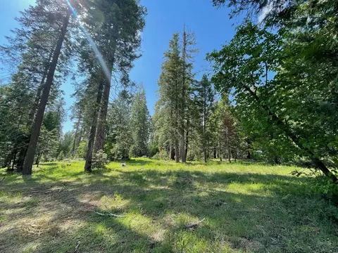 4 Littleridge Rd, Shaver Lake, CA 93664