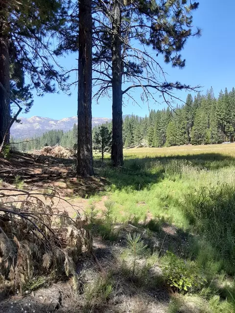 49 Meadow Vw, North Fork, CA 93643