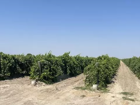 37 S Trinity Ave, Kerman, CA 93630