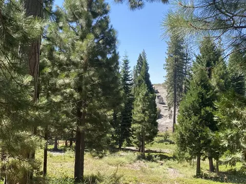 40885 Wild Iris Ln, Shaver Lake, CA 93664