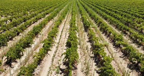 3 N Siskiyou, Kerman, CA 93630