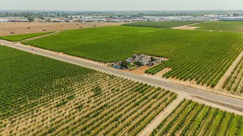 8353 S Fowler Ave, Fowler, CA 93625 photo 29